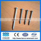 Nail/wire Nail/steel Nail thumbnail-1