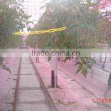 Greenhouse Used CO2 Supplement System thumbnail-1