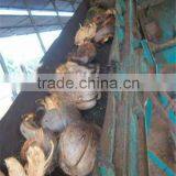 High Efficiency Oil Palm Fibre Dryer Machine/Coco Peat Rotary Dryer Welcome in India thumbnail-3