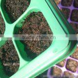 Polystyrene (PS) Plastic Seed Plug Tray With 32 to 512 Cell thumbnail-4