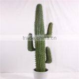 SJ3001017 Landscaping Decorative Shaped Cactos Artificial Plastic Cactus Plants thumbnail-1