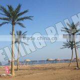 Decoration Home Dry Coconur Palm Tree For Decoration Decorative Artificial Plant thumbnail-2