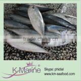 China Wholesale Seafood Horse Mackerel Lot Number#kmw4052 thumbnail-1