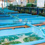 Ornamental Fish Farm and Export Company thumbnail-2
