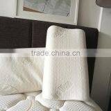 Best Selling Aloe Vera Memory Foam Pillow thumbnail-5