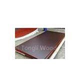 Film Faced Plywood thumbnail-1