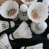 Shuttlecock Supplier China thumbnail-1