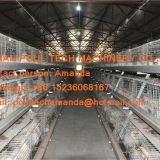 Morocco Poultry Farming Equipment A Type Battery Broiler Chicken Cage Equipment with Automatic Feeding & Drinking System
