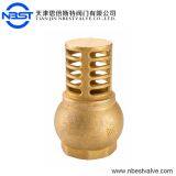 FV-B 1/4inch Female Brass Foot Valve And Strainer For Pump thumbnail-2