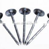 Hot Sale Twist Roofing Nail(SW-043B) thumbnail-2