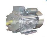 YL 10hp Single Phase Motor thumbnail-1