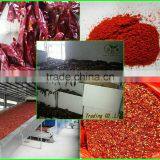 (FRESH) Young Garlic Shoot thumbnail-6