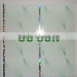 2012 Haining Pvc Panel Ceiling Wall(10cm,20cm,30cm,60cm)