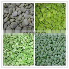 Sinocharm Frozen Vegetable Healthy and Fresh Without Foreign Matter Frozen White Broad Bean thumbnail-5