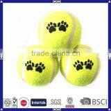 Hot Sale Customized Cheap Pet Tennis thumbnail-1