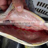 Frozen Gutted Mahi-mahi Fish Clean Fish thumbnail-6