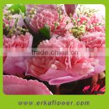 Reliable quality exquisite balloon flower carnation wedding bouquet for bride
