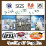 Guangzhou Lifeng Customized 3d Lenticular Business Cards