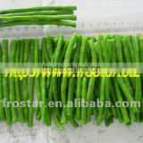 Top sale green asparagus 2012