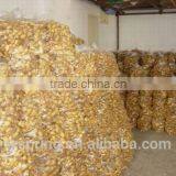 Wholesale Chinese Spicy Mature Fresh Ginger thumbnail-4
