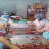 Cucku Enterprises Private Limited company overview - view 3 thumbnail