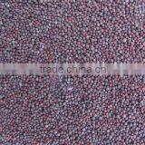 MUSTARD SEED thumbnail-2