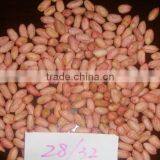 Fresh Peanut on Market in Oct. thumbnail-1