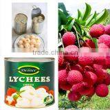 Hight quality Canned Lychee in syrup