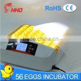 HHD Brand Auto Turning Chicken Egg Incubator Price in Dubai for Sale YZ-56S thumbnail-1