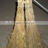 Wy-C067 High Quality And Cheap Bamboo Broom thumbnail-2