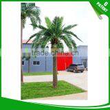 Date Palm Canariensis Tree Street Light Lamps Streetlight thumbnail-2