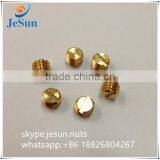 Brass Slotted Hexagon Socket Set Flat Point Screws Hidden Cameras thumbnail-5