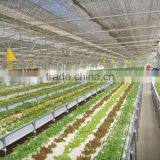 Poly-Film Greenhouse thumbnail-2