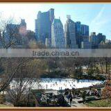 Plastic Ice Rink Strip,skating Mat,ROHS Have 5 Years Life Span