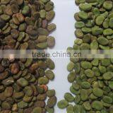 Excellent Quality CCD Grains Color Sorter Beans Color Sorter thumbnail-5