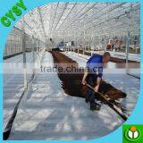 White Tomato Planting Weed Mat, Woven Ground Cover/weed Control Mat,UV Stabilized pp Weed Mat thumbnail-2