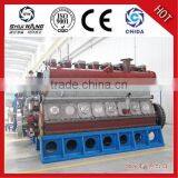 Diesel Generator/Biomass Generator from China with Low Price