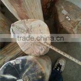 Petrified /fossilized Wood,Luxary Nature Decorative Stone,high Value for Collection thumbnail-3