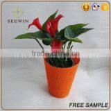 Paper Mesh Outdoor Flower Pots and Decorative Plant Pot Covers thumbnail-3