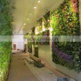 Artificial Green Wall for Office /hotel/home Decoration thumbnail-2