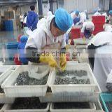 Frozen Boiled Baby Clam With Favorable Pirce thumbnail-3