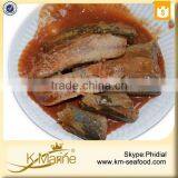New Processing Halal Mackerel in Tomato Sauce With Chilli thumbnail-5