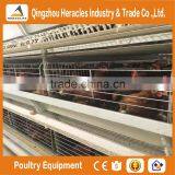 Heracles Automatic Chicken Poultry Farm Layer Cages for Sale in Zimbabwe thumbnail-6
