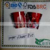 Seeds in Paper Cup,vegetable Seeds ,cup Planter ,paper Pot thumbnail-1