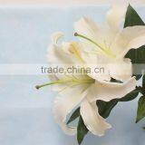 2016 Hot Sale Decorative White Spray Head Lily FlowerWedding Table Centerpieces Flower Wholesale Flower From Yunnan thumbnail-4