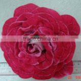 Velvet Rose thumbnail-1