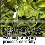 High Quality Herbal Slimming Tea Baby Spoon at Reasonable Prices Small Lot Order Available thumbnail-4