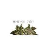 Sell Buckle thumbnail-1