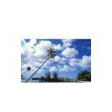 Rui An Donghai Environmental Protection Equipment Factory company overview - view 1 thumbnail