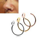 New Hot Money Puncture Stainless Steel Insert Drill Nail, Foreign Trade Jewelry Earrings, Titanium Steel Nose Ring Manufacturer Wholesale